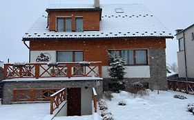 Chalet Nova Lesna Mountain View